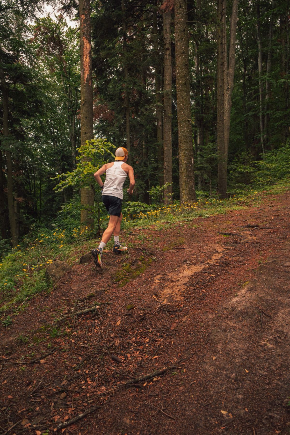A runner climbing a forest trail